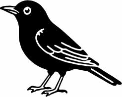 Stempidoo Maxi Mini Motivstempel Amsel – Holzstempel für Karten, Scrapbooking, DIY, Basteln & Papier 