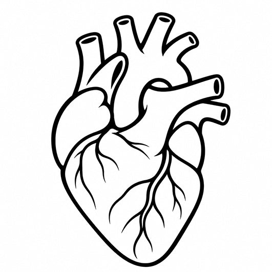 Stempidoo® - Anatomisches Herz – Ministempel Ø 22 mm