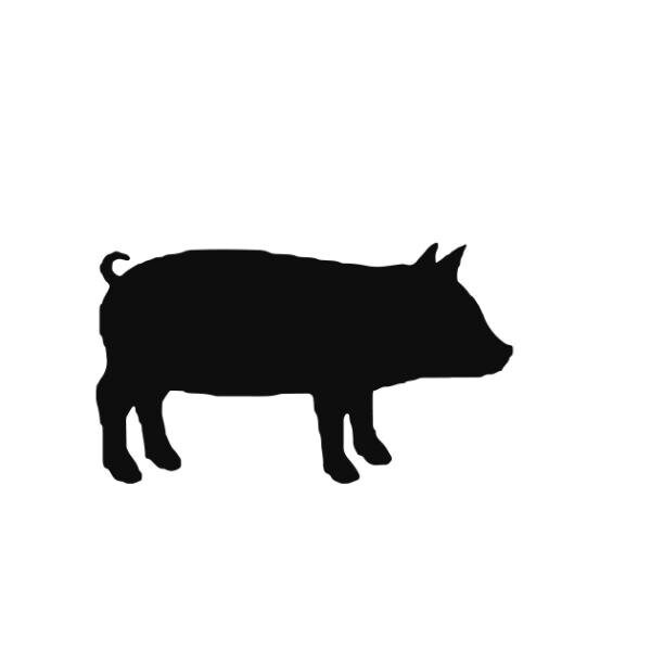 Stempidoo® - Schwein - Motivstempel