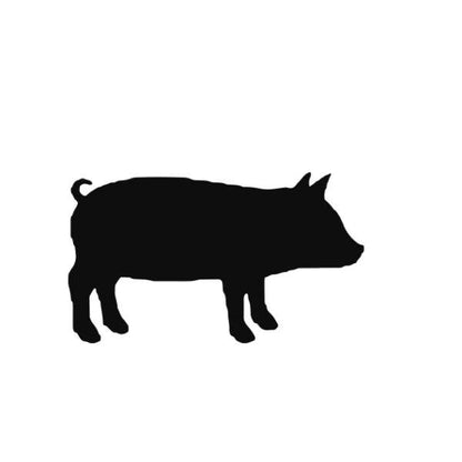 Stempidoo® - Schwein - Motivstempel